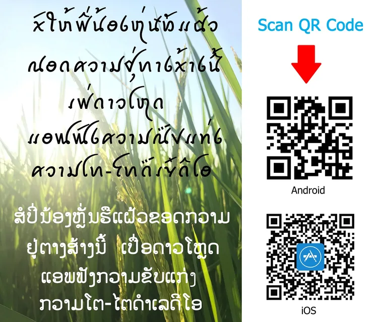 Taidam Radio QR Code