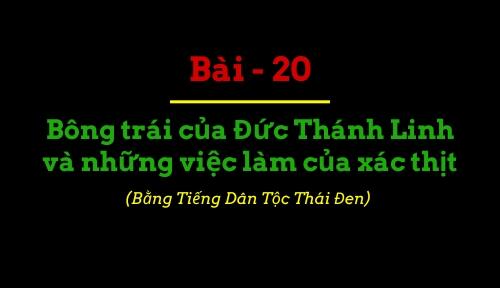 Bông trái của Đức Thánh Linh và những việc làm của xác thịt Bông trái của Đức Thánh Linh và những việc làm của xác thịt